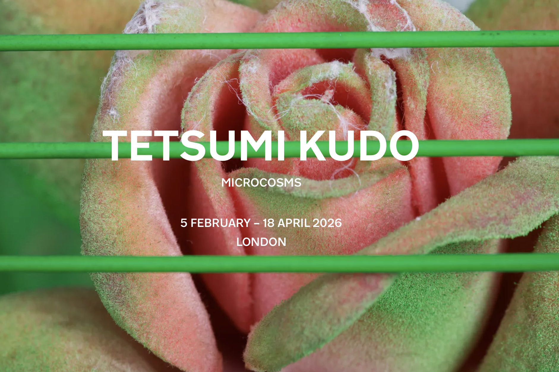 TETSUMI KUDO: MICROCOSMS